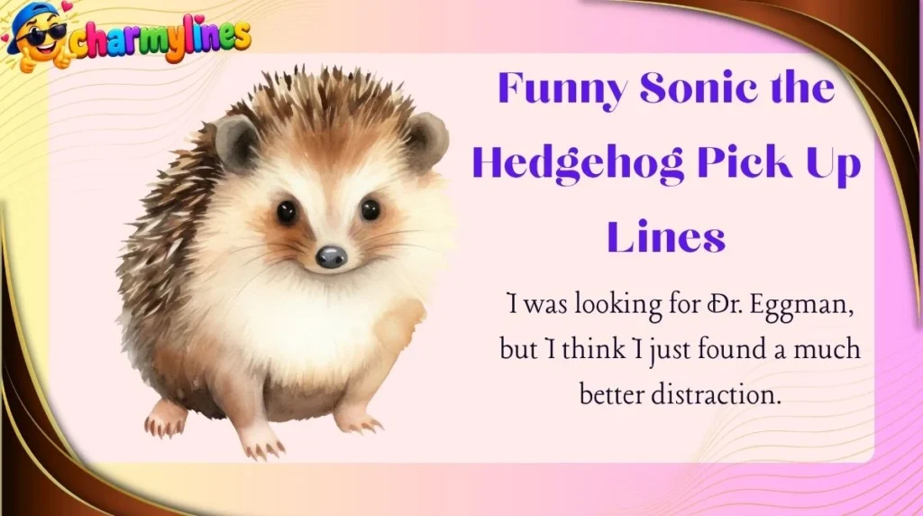 Funny Sonic the Hedgehog Pick Up Lines
