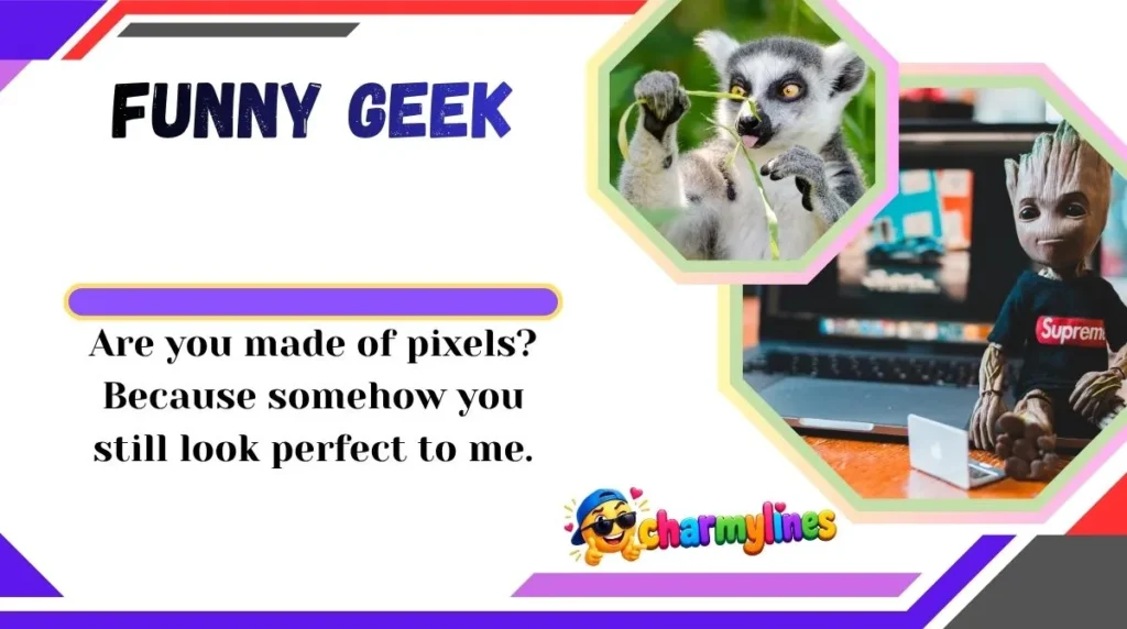 Funny Geek