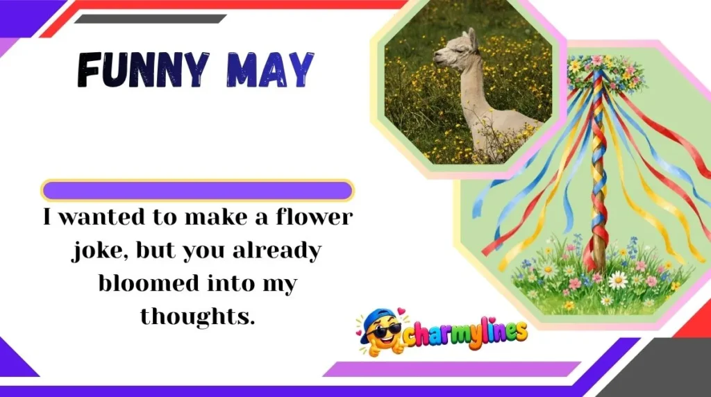 Funny May