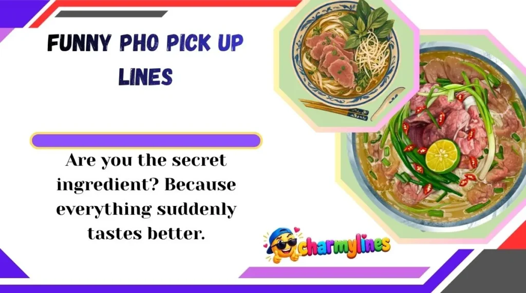 Funny Pho Pick Up Lines