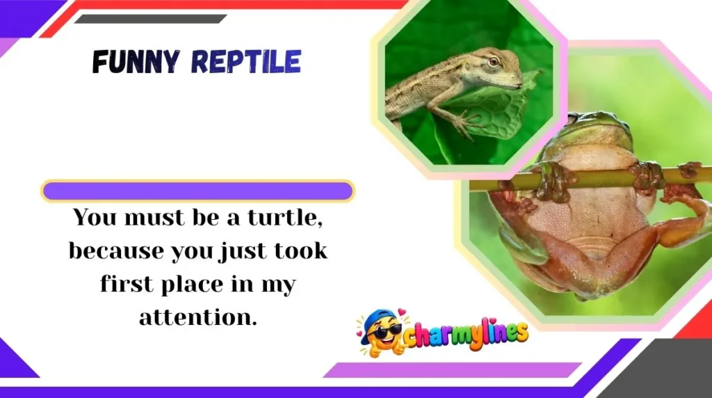 Funny Reptile