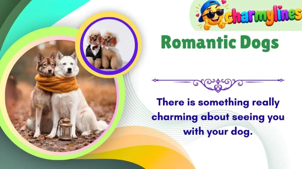  Romantic Dogs