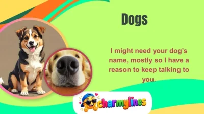 Dogs