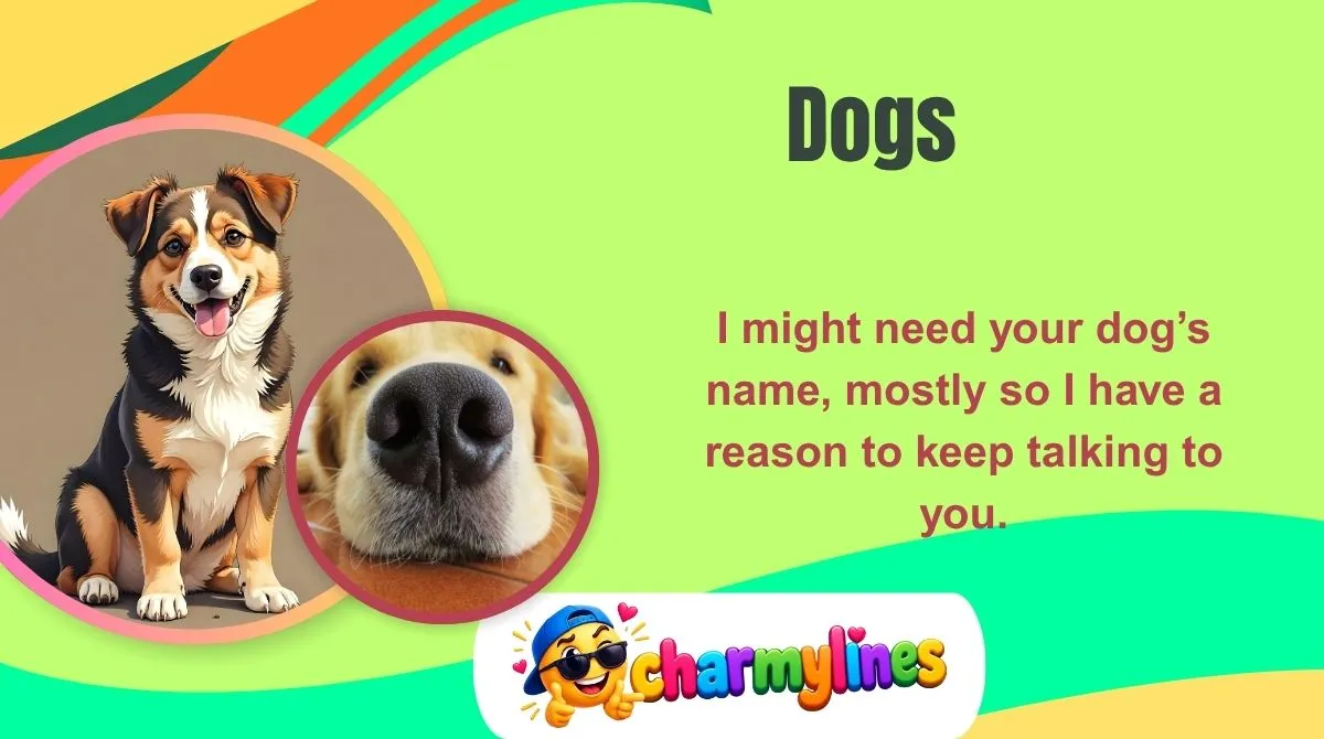 Dogs