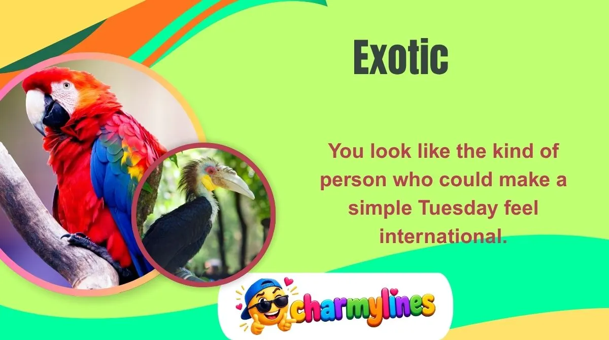 Exotic