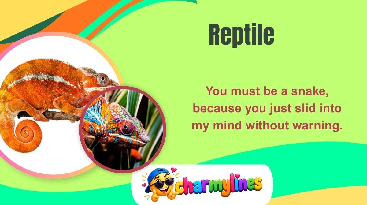 Reptile