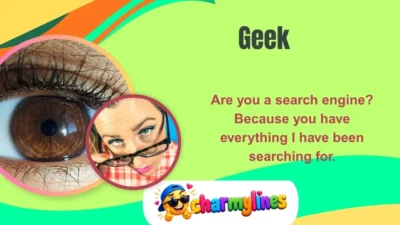 Geek