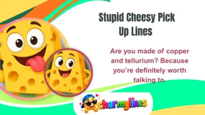 Stupid Cheesy Pick Up Lines